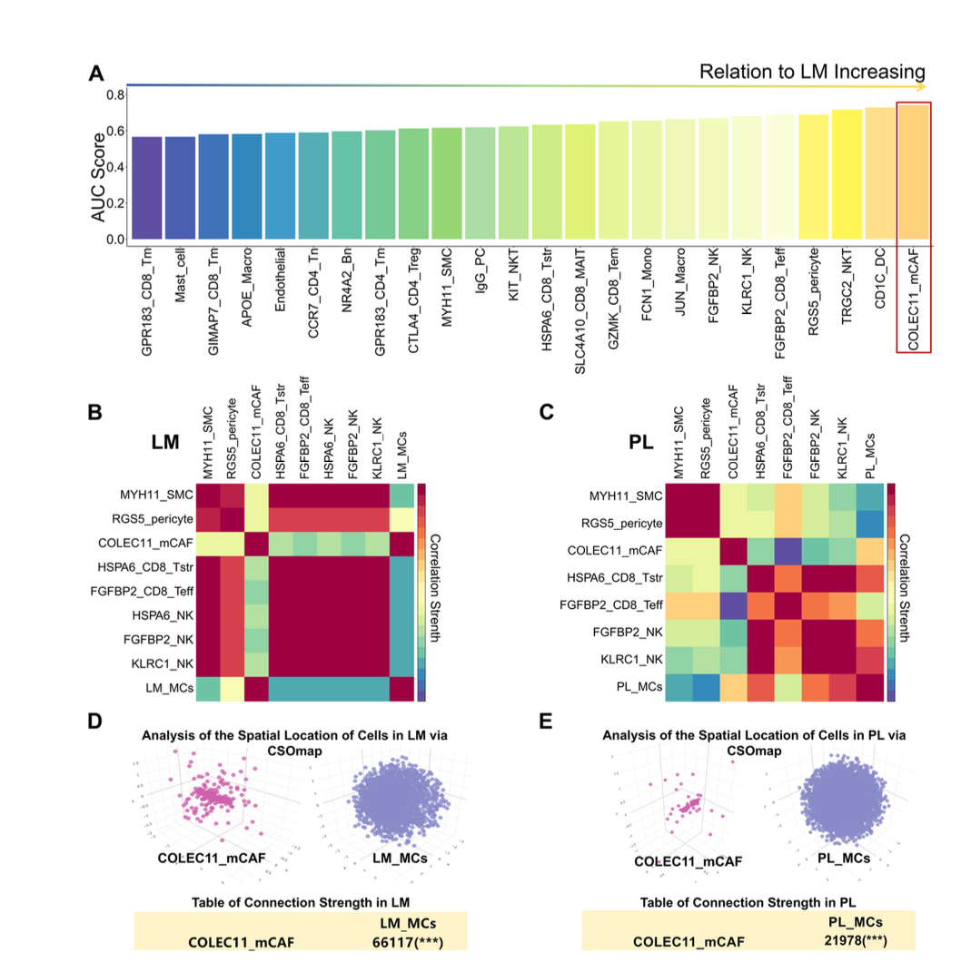 F04_Figure 7 from Deng et al